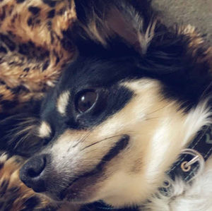 Meet your Posher, Kendra